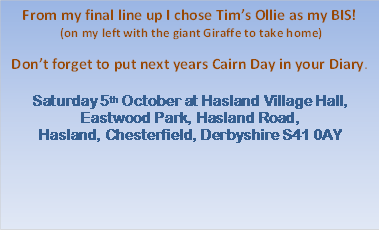From my final line up I chose Tim’s Ollie as my BIS!
 (on my left with the giant Giraffe to take home)

Don’t forget to put next years Cairn Day in your Diary.

Saturday 5th October at Hasland Village Hall, Eastwood Park, Hasland Road,
Hasland, Chesterfield, Derbyshire S41 0AY

