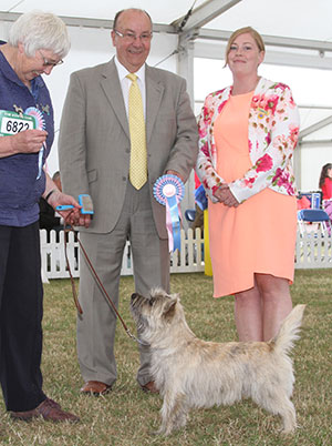 Miss H M P Miller Cornton Fyne Fettle with puppy group judge Mr K Nathan & Ms J McCarthy (Committee)  