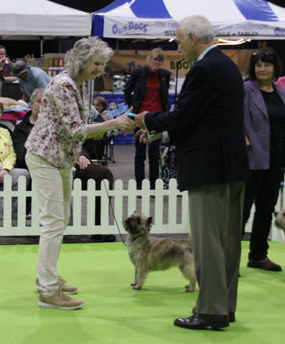 A person and person shaking hands with a dog

Description automatically generated