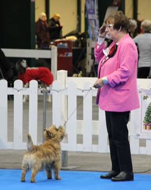 A person in pink jacket holding a leash with a dog

Description automatically generated