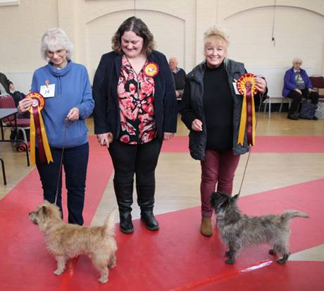 A group of women holding awards and dogs

Description automatically generated