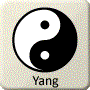 Chinese Yin-Yang - YangYin-Yang
